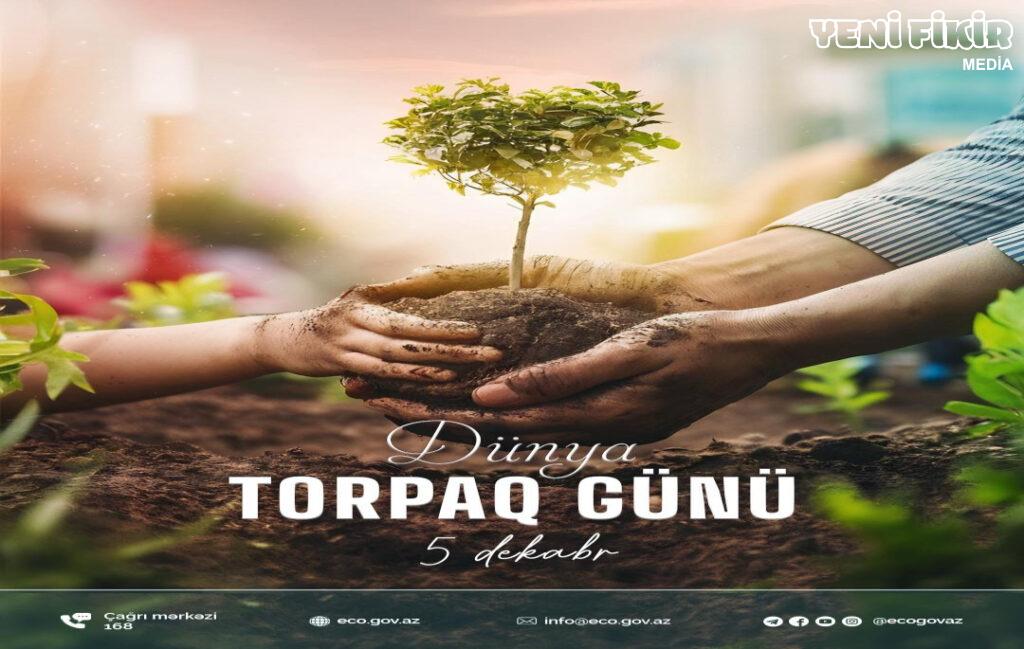 Bakı və bölgələrdə yaşıllıqların qanunsuz kəsilməsi aşkar edilib